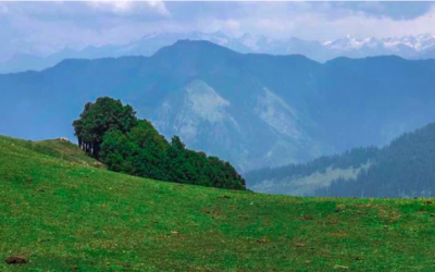 Jibhi Valley Himachal Pradesh