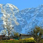 Things To Do In Dharamshala