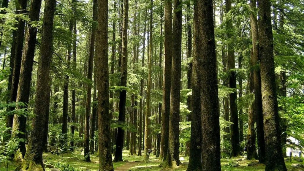 Himalayan Nature Park