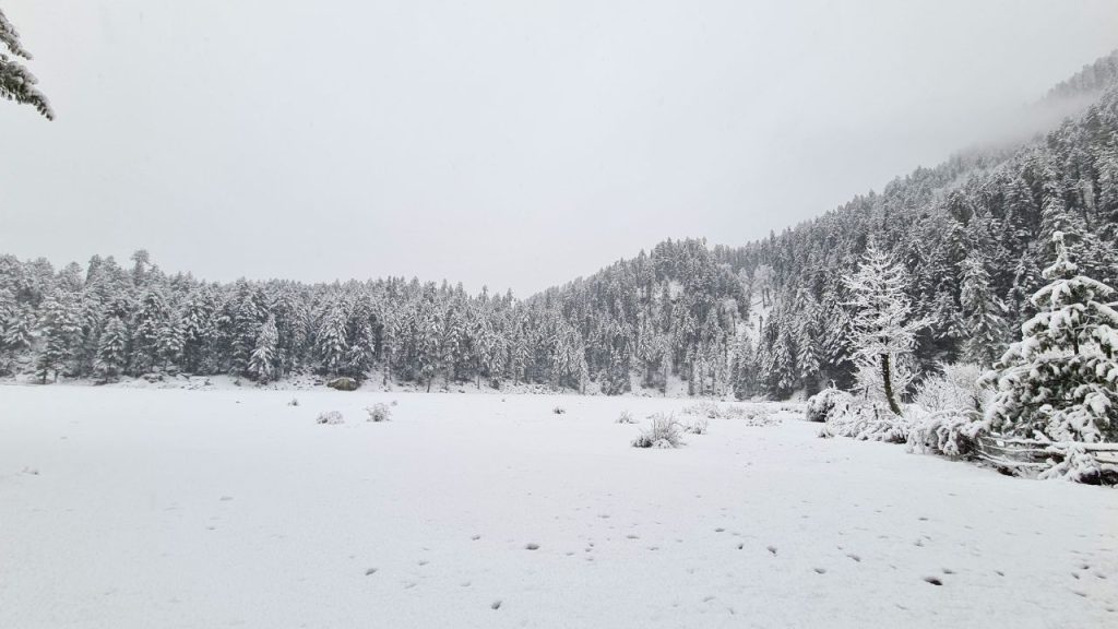 Baga Sarahan In Winter