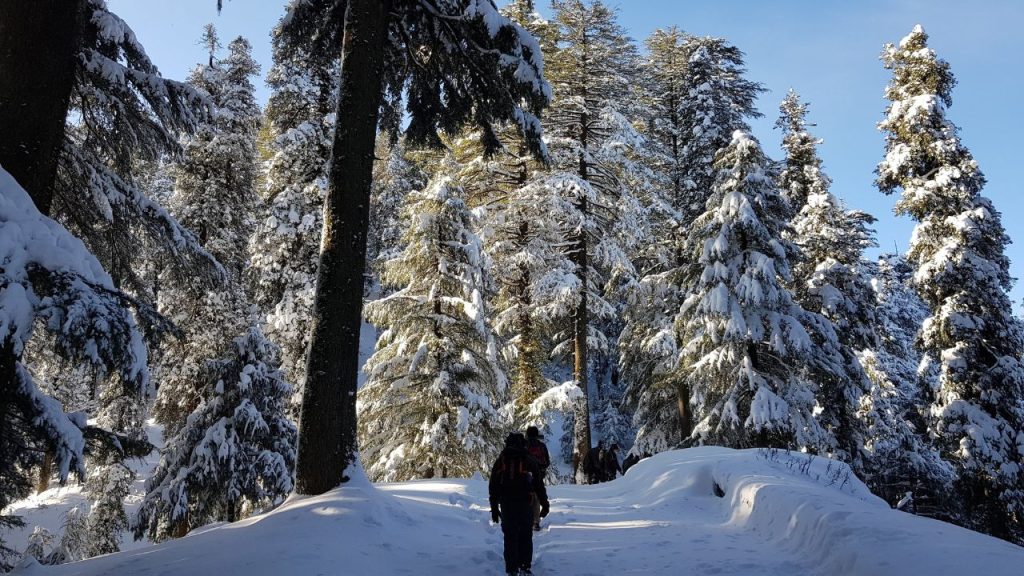 Best Time To Visit Dalhousie
