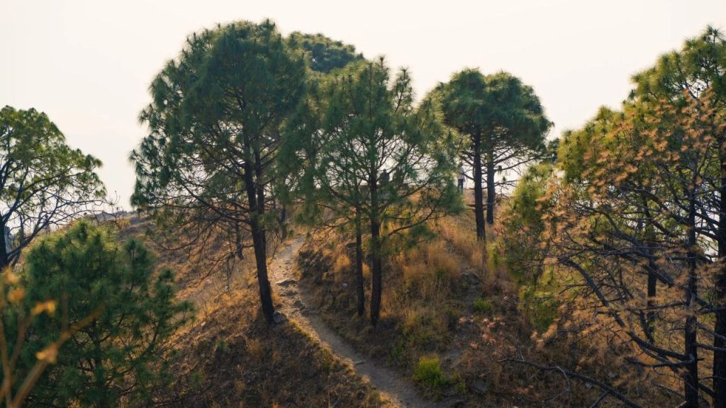 Nature Walks, Solan