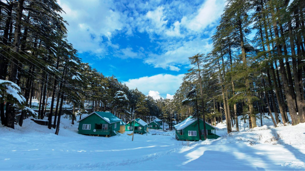 Patnitop