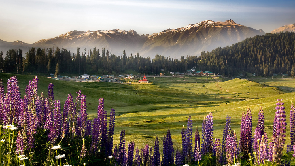 Khilanmarg, Gulmarg