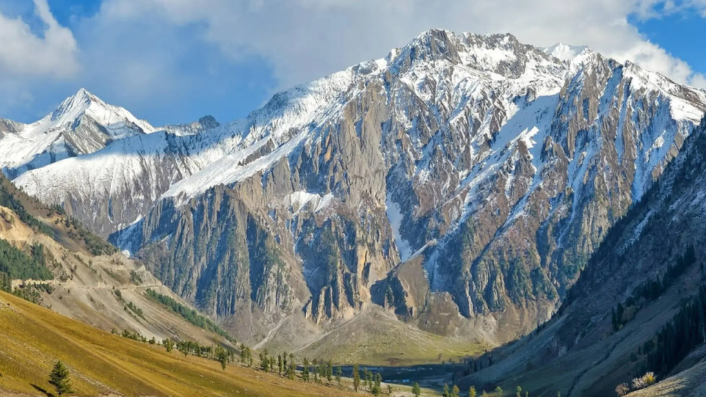 Baltal