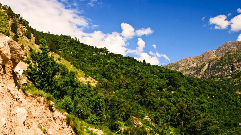 Ribba Village Overview