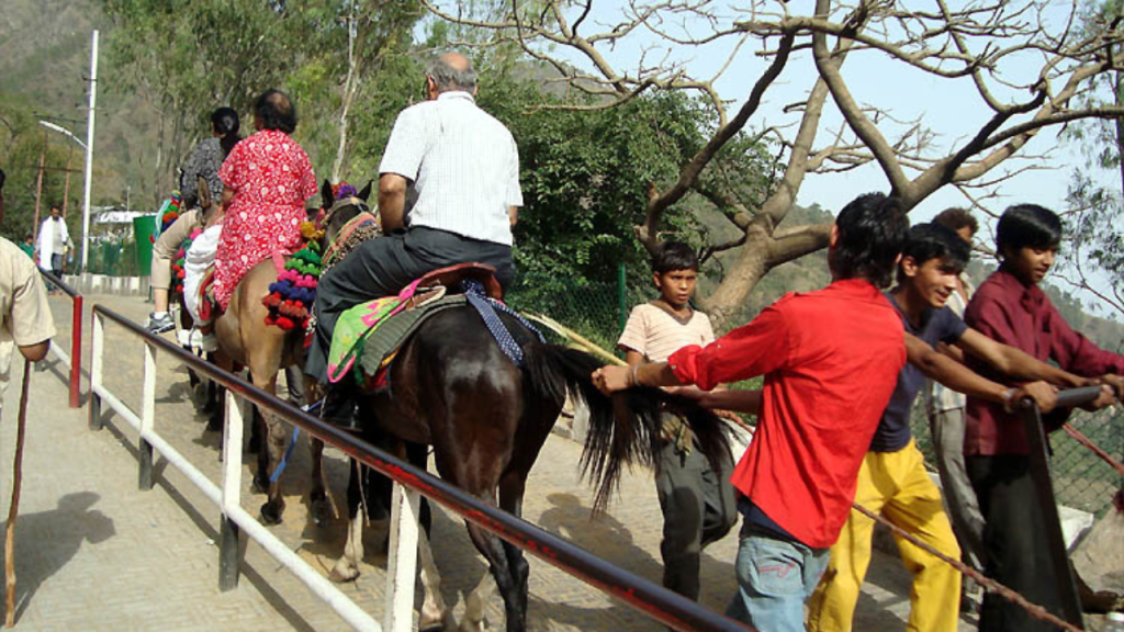 Ponie Ride