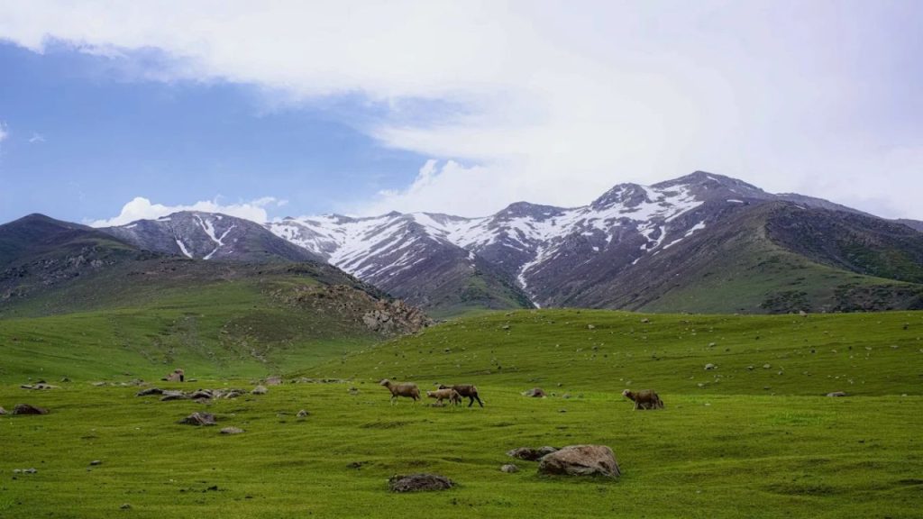 Peer Ki Gali